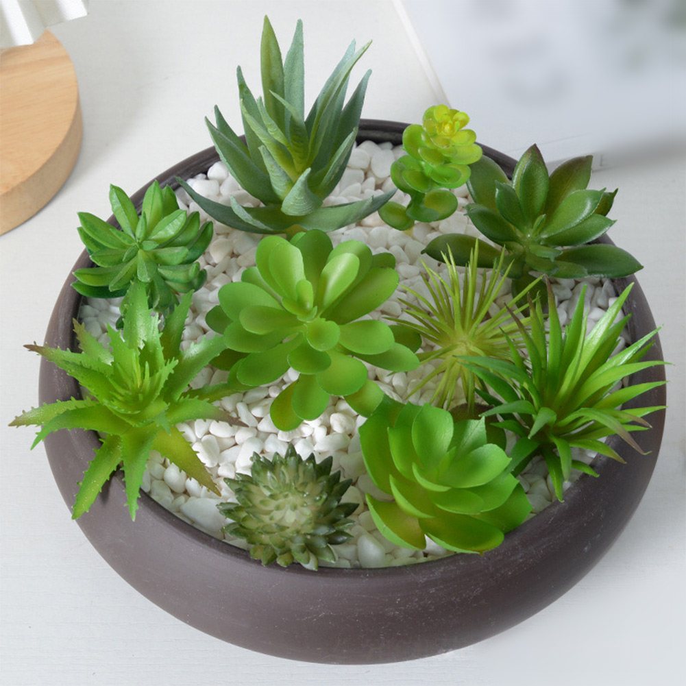 Arreglo de Suculentas Artifici - Succulent Arrangement Mini reseña y precio