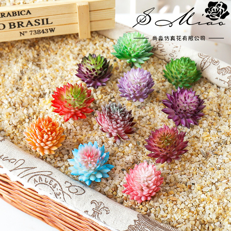 Plantas flocadas suculentas ar - Succulent Arrangement Mini reseña y precio