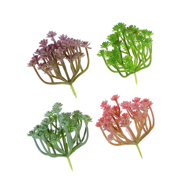 Wusmart-plantas suculentas art - Eufy Camera S340 reseña y precio