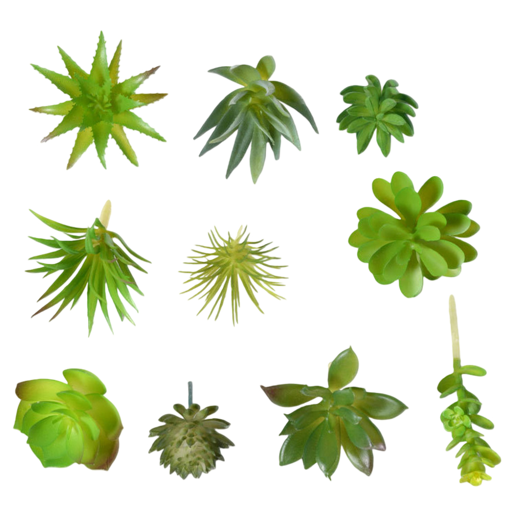 Accesorio de Fotografía Ideal  - Succulent Arrangement Mini reseña y precio