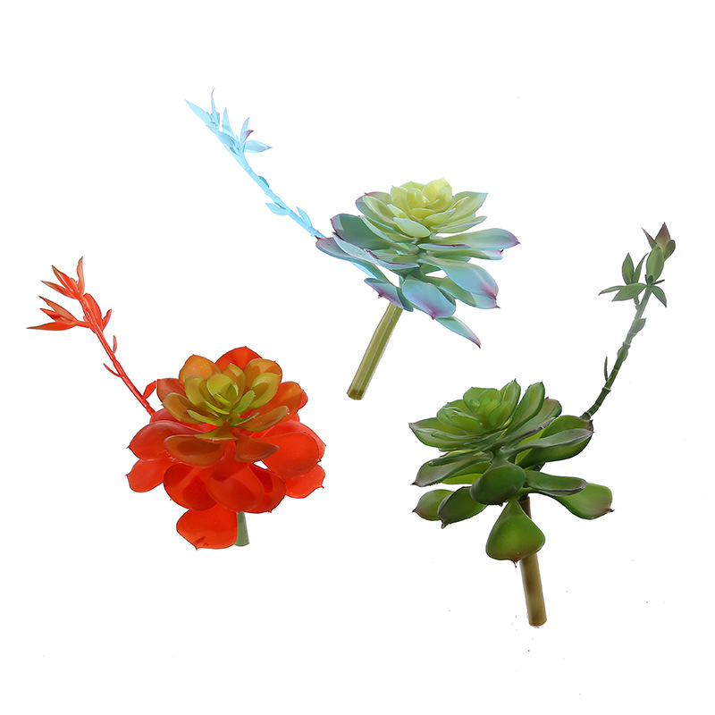 Wusmart Zhong Shi Lian plantas - Succulent Arrangement Mini reseña y precio