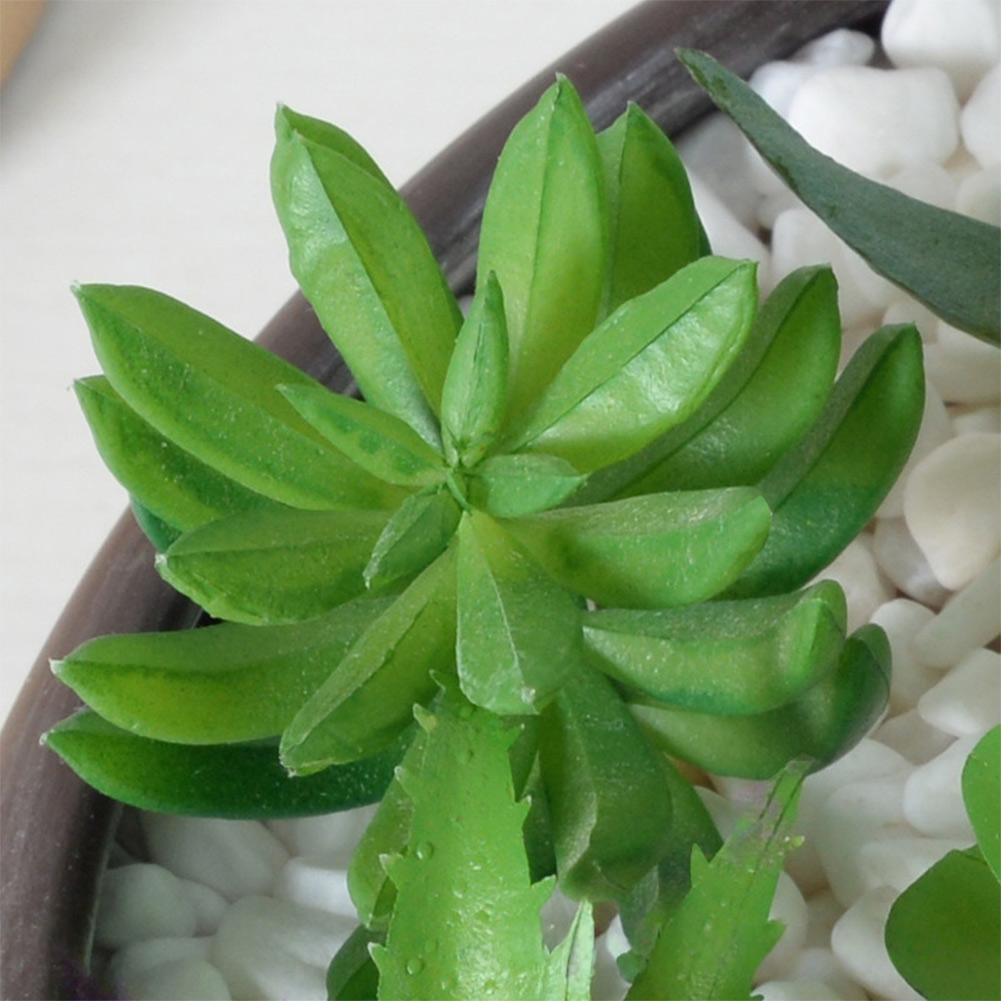 Arreglo de Suculentas Artifici - Succulent Arrangement Mini reseña y precio