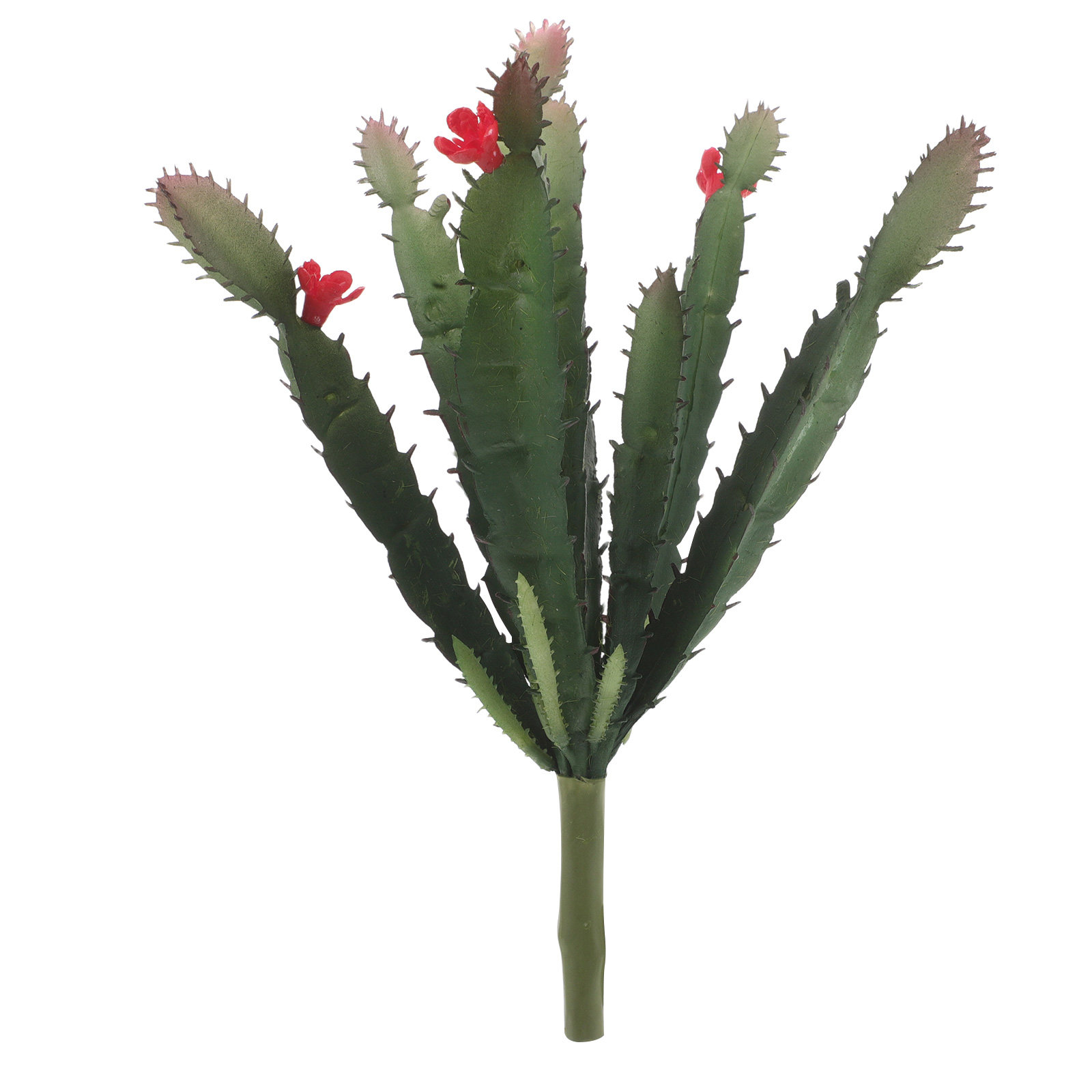 Arreglo de suculentas artifici - Succulent Arrangement Mini reseña y precio