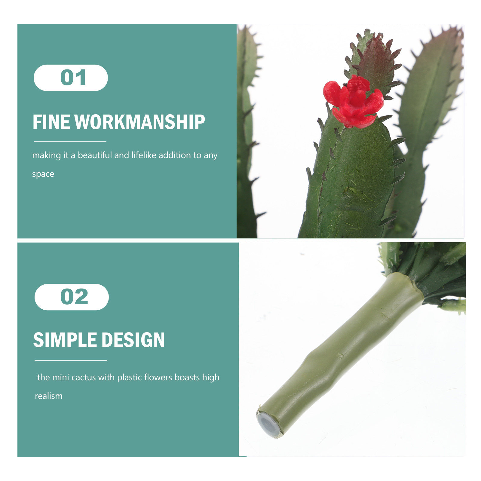 Encantador arreglo de cactus y - Succulent Arrangement Mini reseña y precio