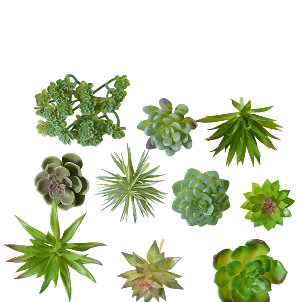 Centro de Mesa Artificial para - Succulent Arrangement Mini reseña y precio