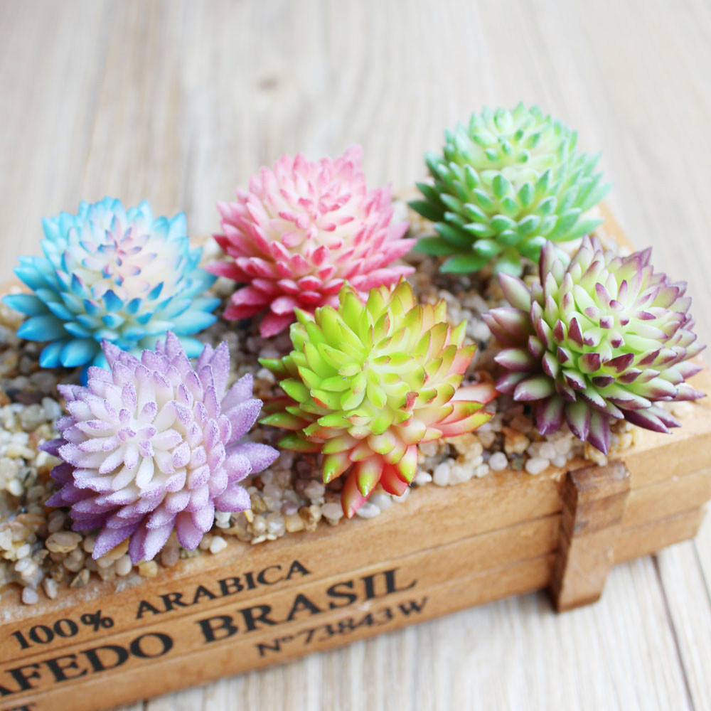 Plantas flocadas suculentas ar - Succulent Arrangement Mini reseña y precio