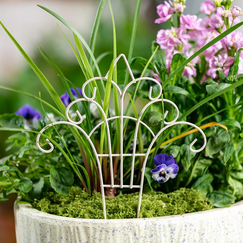 Mini Cerca Decorativa de Hierr - Succulent Arrangement Mini reseña y precio