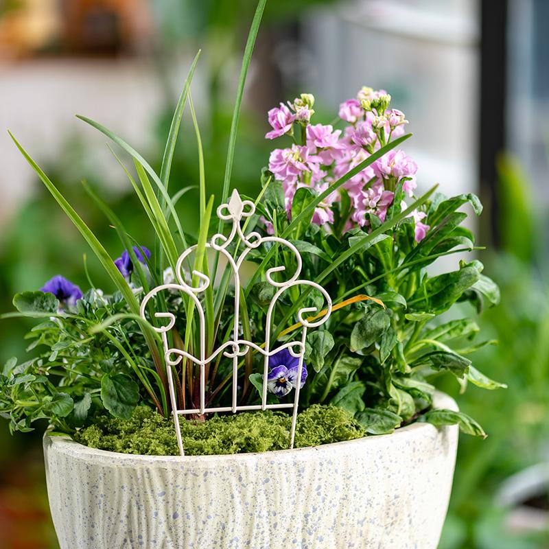 Mini Cerca Decorativa de Hierr - Succulent Arrangement Mini reseña y precio