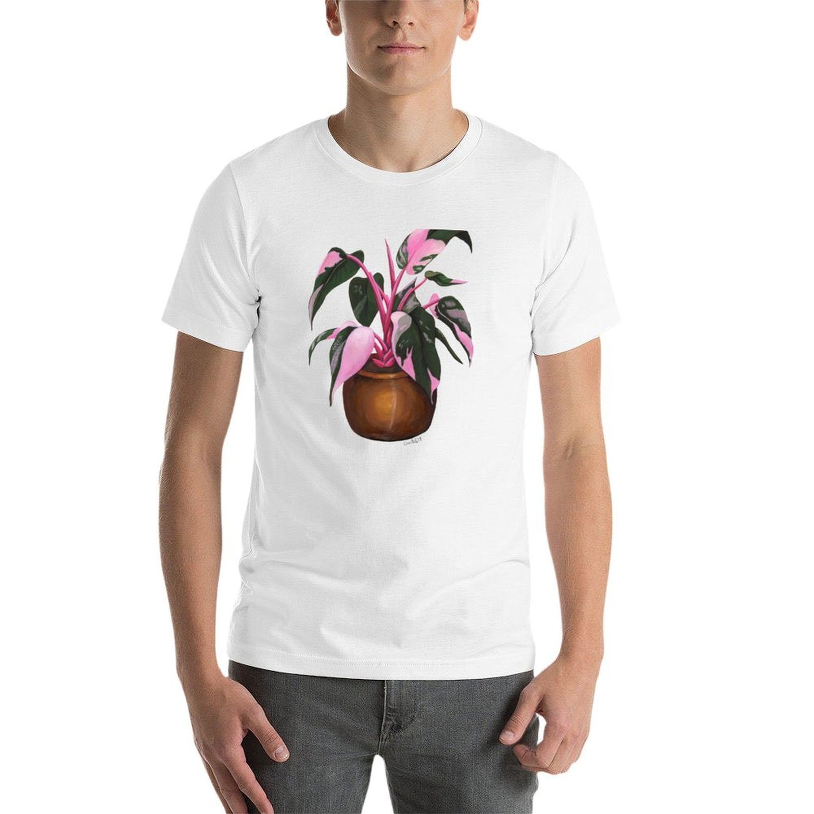Camiseta de Philodendron 'Pink - Philodendron Pink Princess reseña y precio