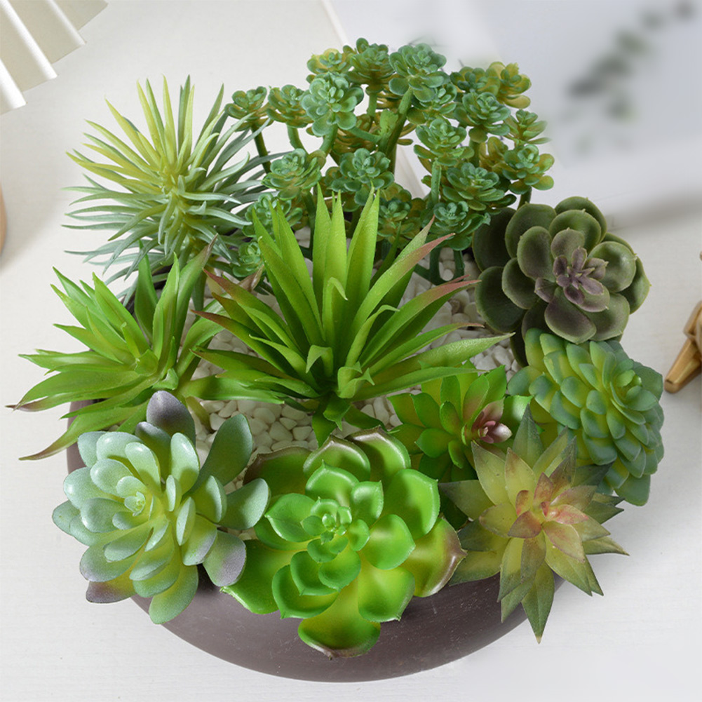 Accesorio de Fotografía Ideal  - Succulent Arrangement Mini reseña y precio