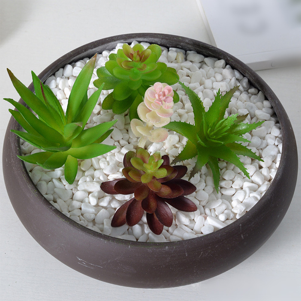 Accesorio de Fotografía Ideal  - Succulent Arrangement Mini reseña y precio