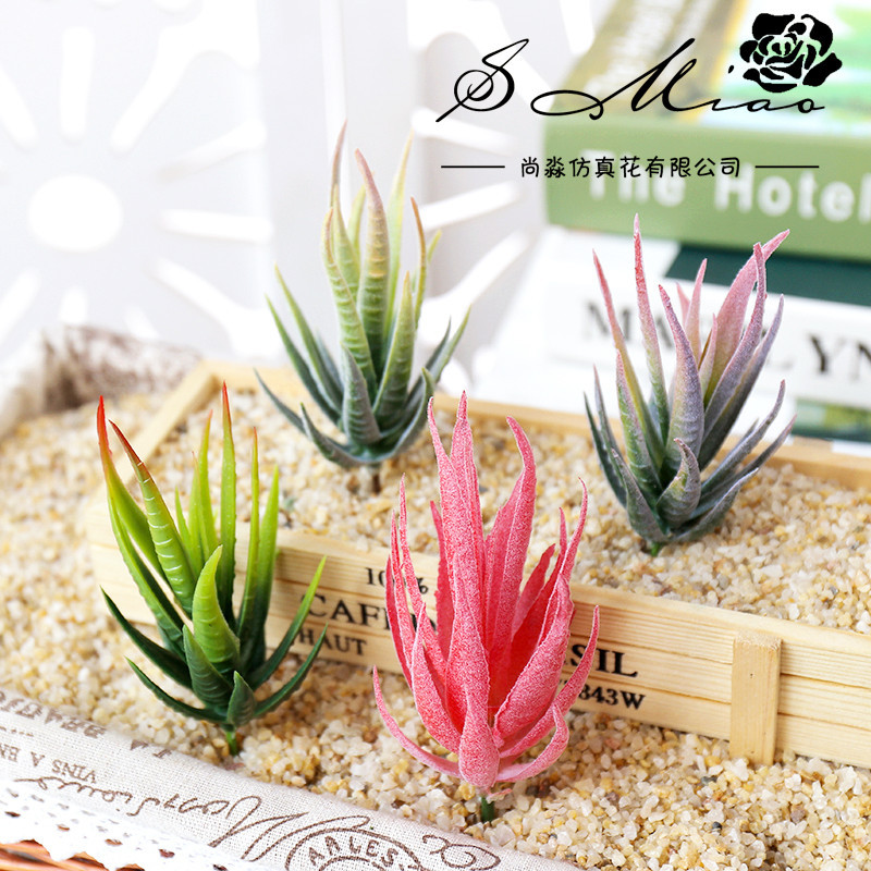 Wusmart Ban Ma Lu Hui plantas  - Succulent Arrangement Mini reseña y precio
