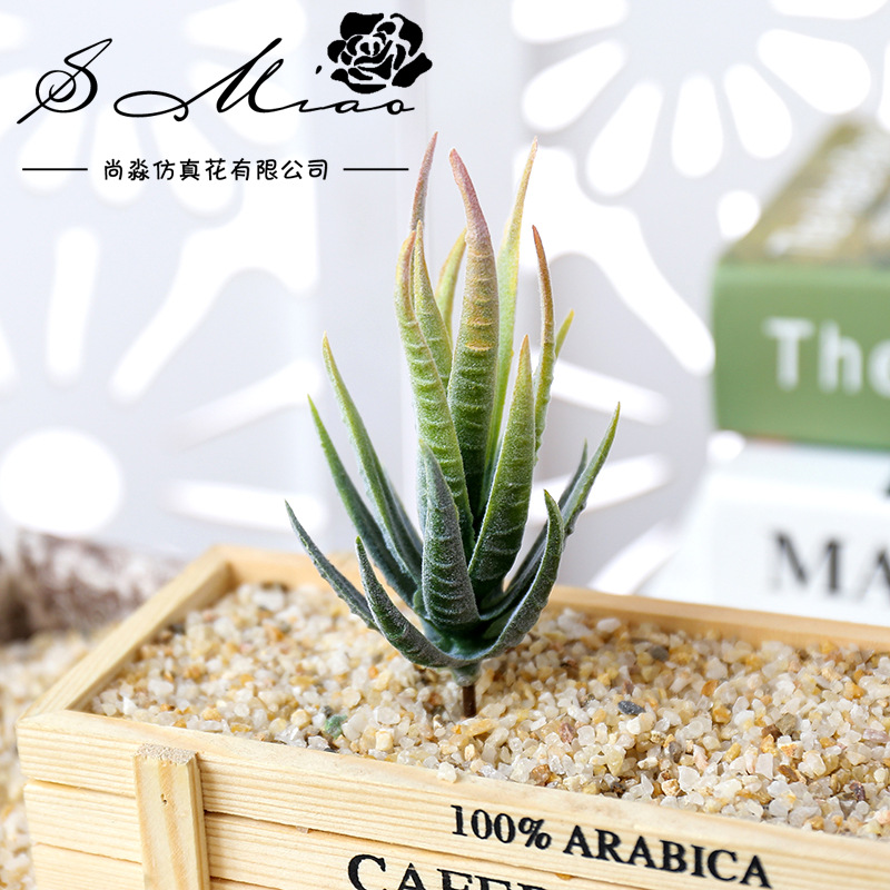 Wusmart Ban Ma Lu Hui plantas  - Succulent Arrangement Mini reseña y precio