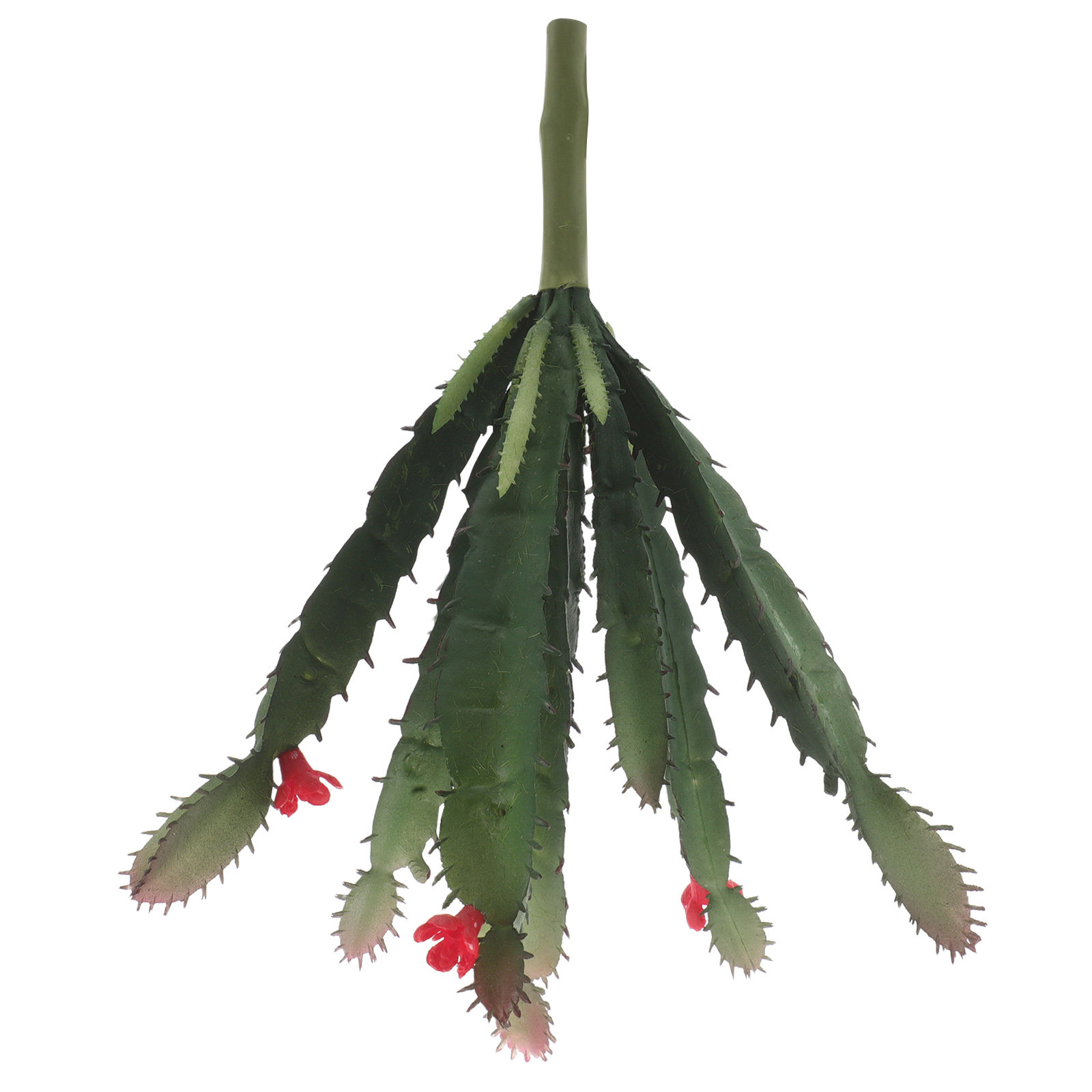 Arreglo de suculentas artifici - Succulent Arrangement Mini reseña y precio